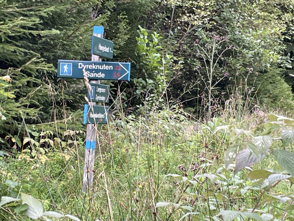 Hiking South Norway: Feda: signpost to Dyreknuten