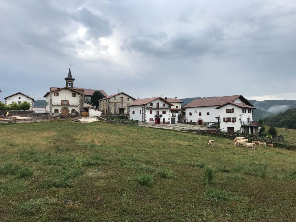 Camino Frances de Santiago: from Espinal to Zubiri